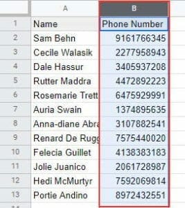 Select the phone numbers that you want to format