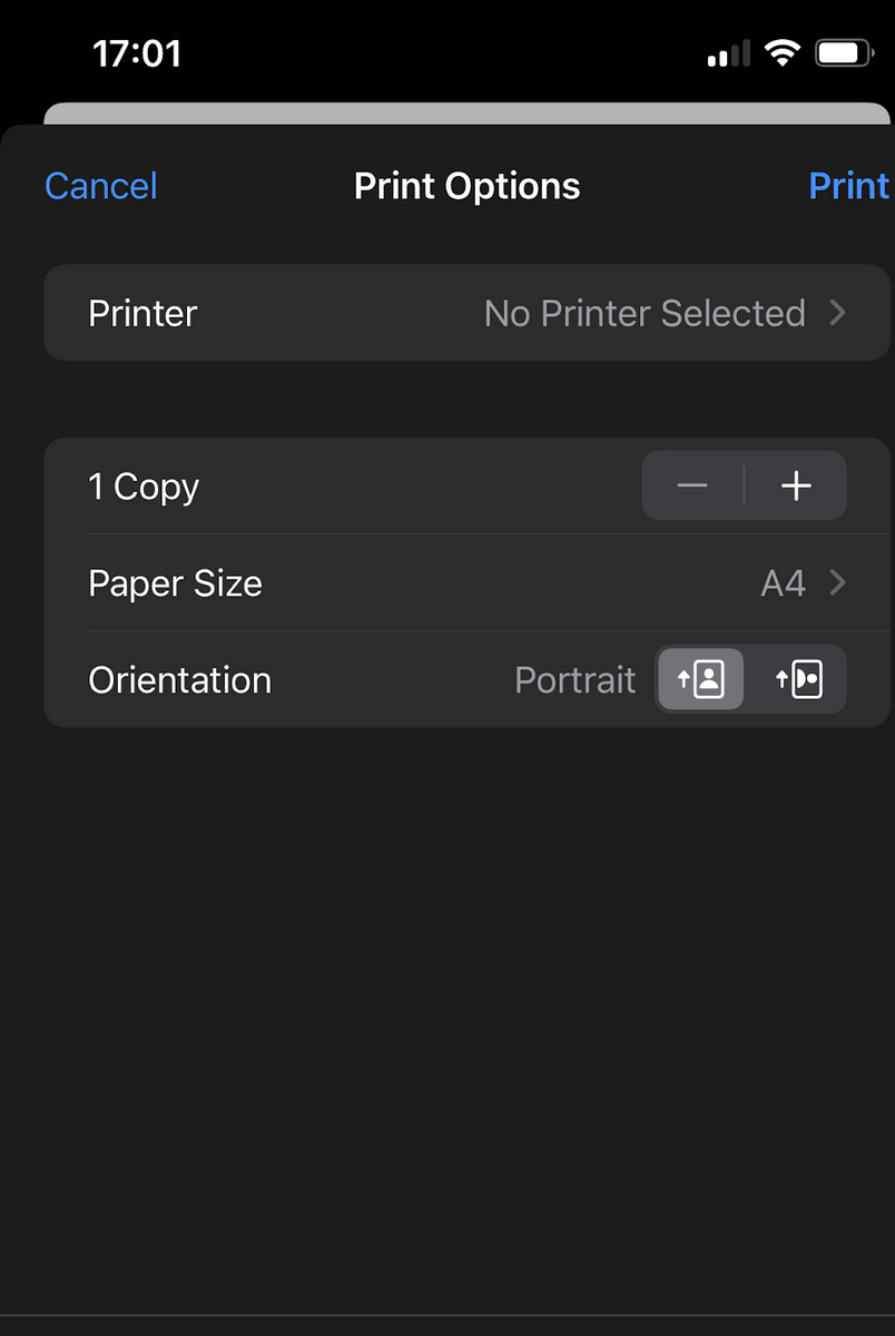 iPhone screenshot with Print Options