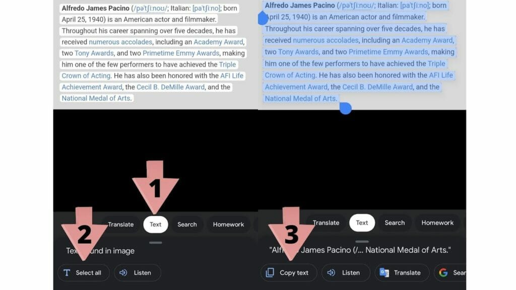 How to Copy Text From a Picture