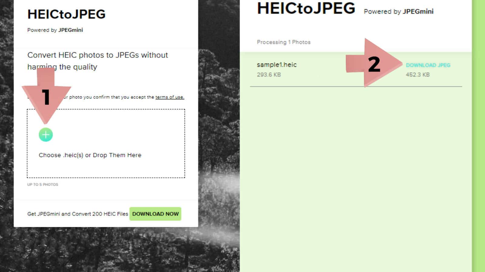 Download JPEG from HEIC Files