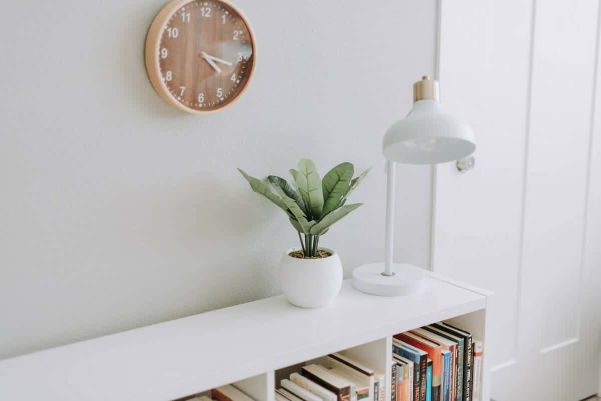 Home office background—image of plant on bookshelf near door