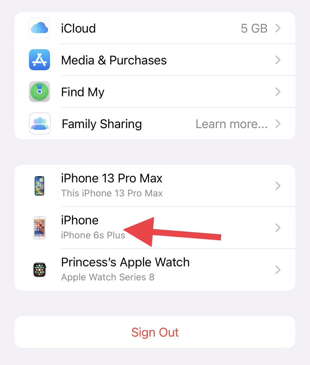 Apple device on Settings